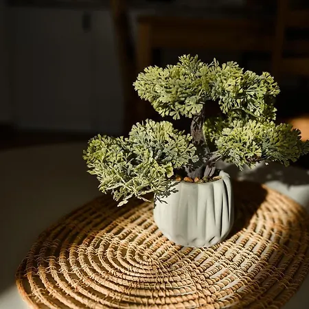 Daire 4rest & 4joy *