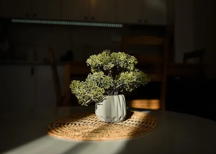 4rest & 4joy * Zlatibor